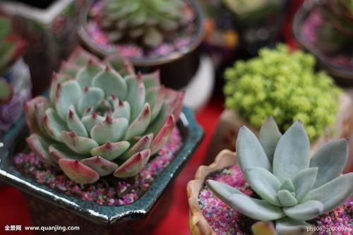 3124ʱ͡ͼ۸ÿϵ90Ԫ85Ԫ